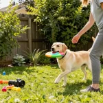 rokok 88 Trends That Will Define Pet Care in 2026